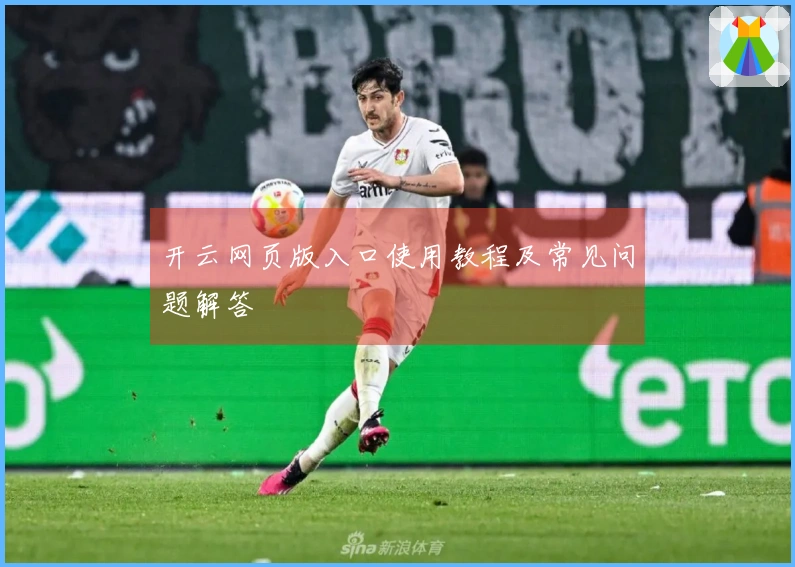 开云网页版入口使用教程及常见问题解答