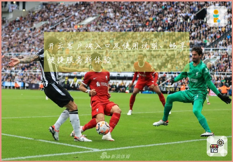 开云客户端入口及使用说明，畅享便捷服务新体验